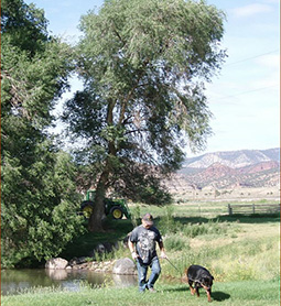 Man and Dog Near Water