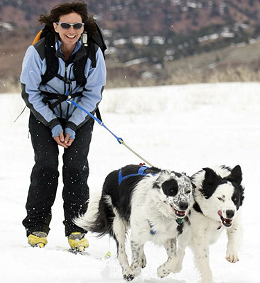 Woman with dogs Skijoring